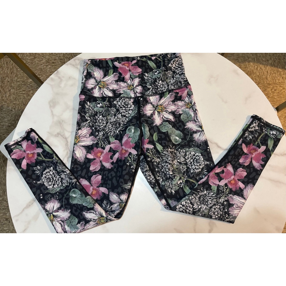 Evolution & Creation - Picture 2 of 3